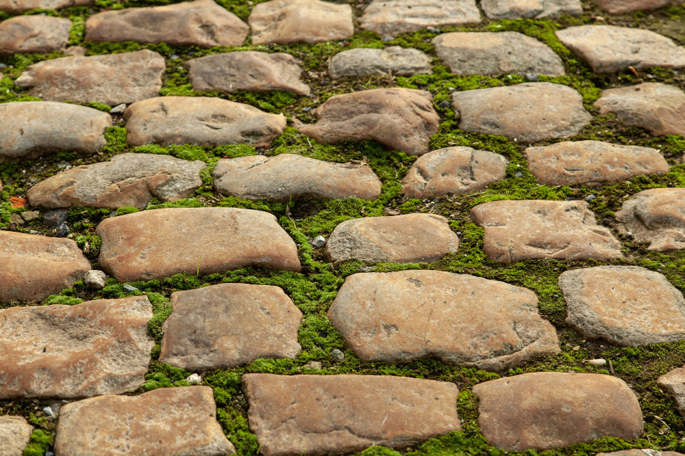 Descubra onde encontrar pedras para paisagismo