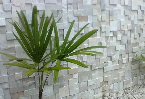 Fachada revestida com pedras naturais em tonalidade clara
